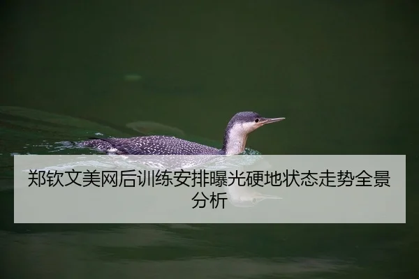 郑钦文美网后训练安排曝光硬地状态走势全景分析